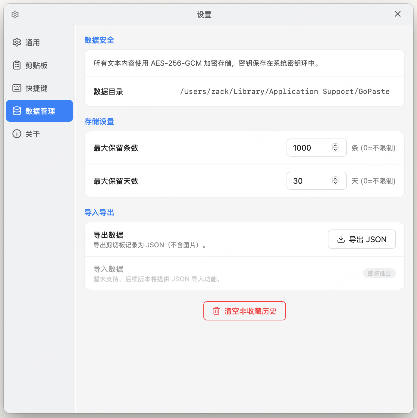 GoPaste 设置